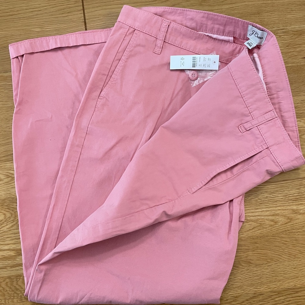 Pink NWT Slouchy Boyfriend Chino J Crew 33